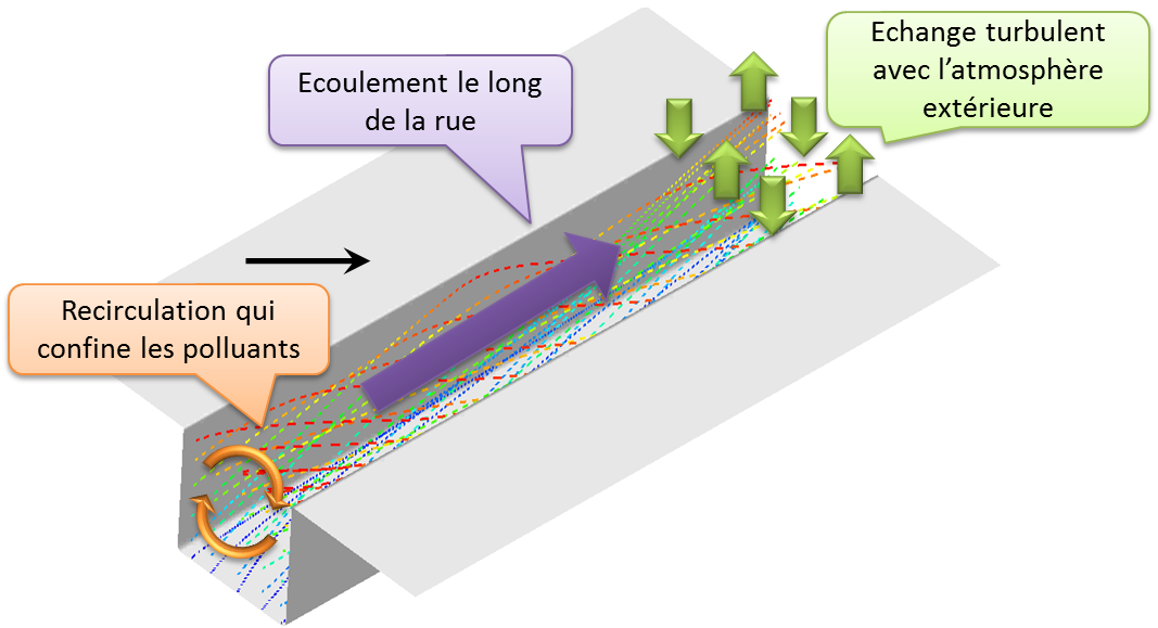 Structure de l'écoulement dans une rue-canyon